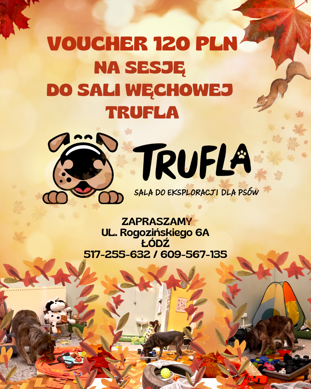 TRUFLA-WRZEŚNIOWE-ZAPISY (2)