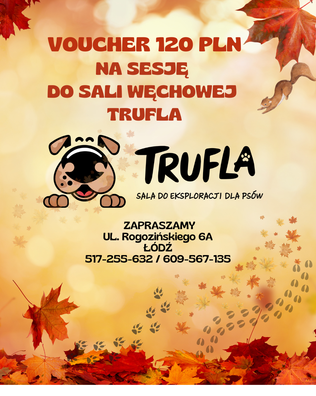 TRUFLA-WRZEŚNIOWE-ZAPISY